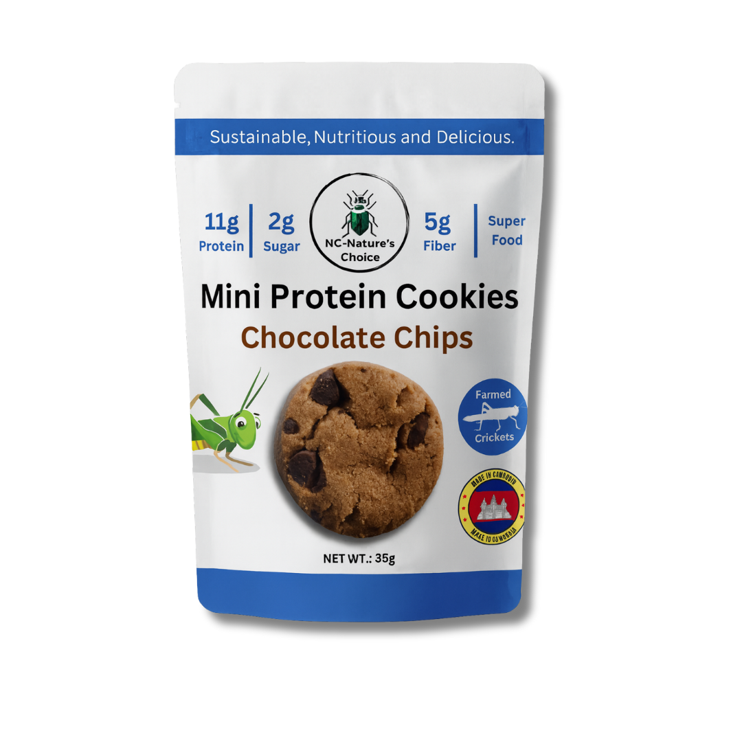 Chocolate Protein Cookies